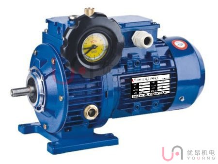 UDL無級(jí)調(diào)速電機(jī)